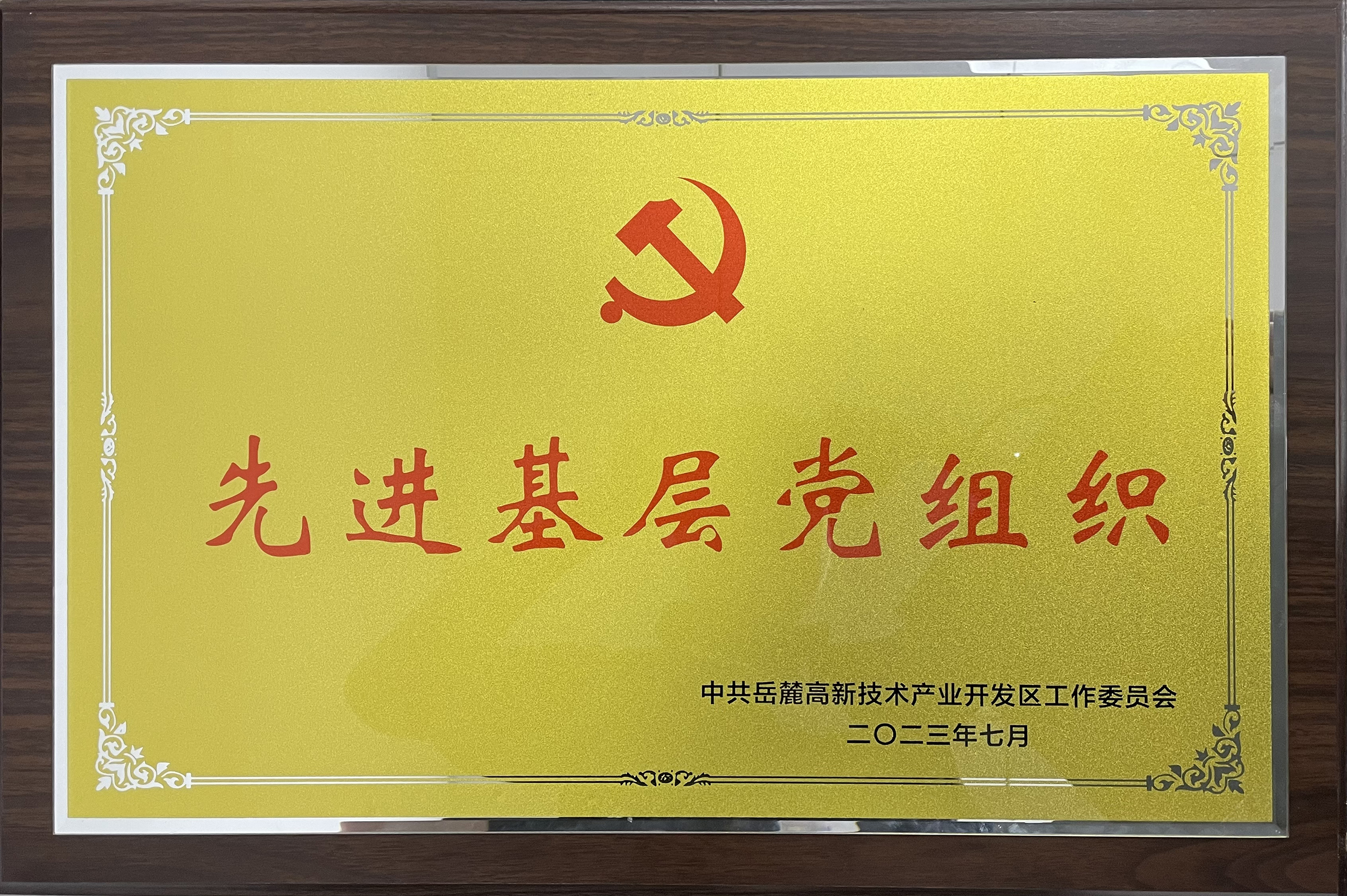 20237£ǹȼŵί´ίȽ²㵳֯ƺ